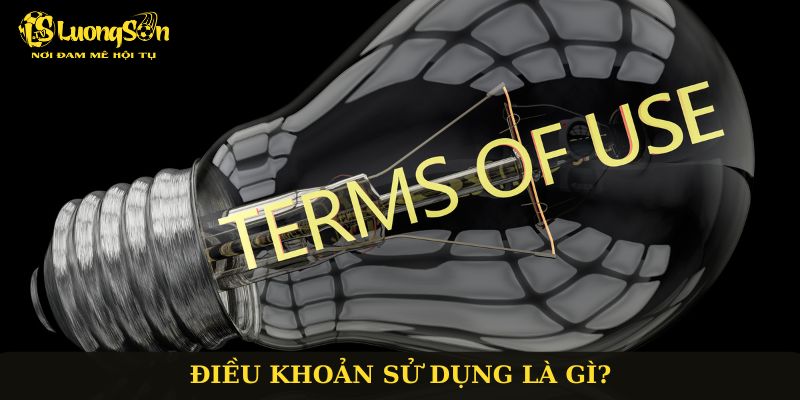 Điều khoản sử dụng là gì?