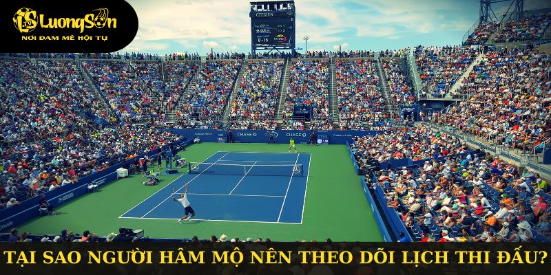 Lý do nên theo dõi lịch thi đấu tại Luongsontv