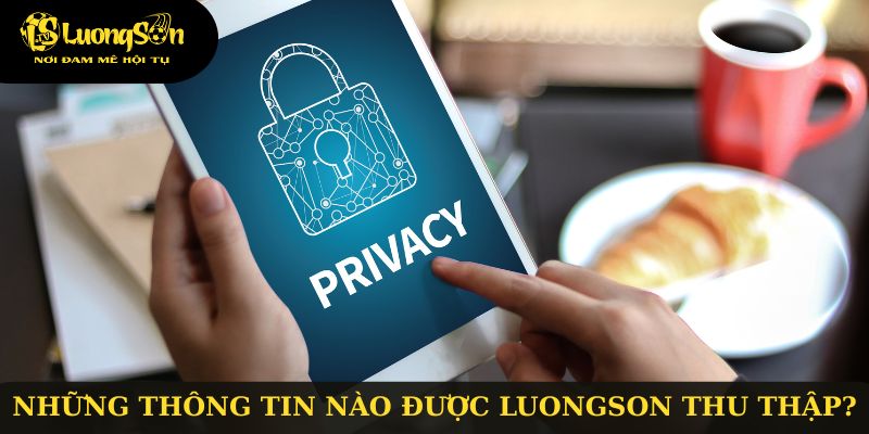 Những thông tin nào được luongson thu thập?